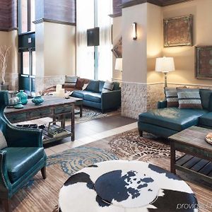 Springhill Suites By Marriott Dallas Downtown / West End